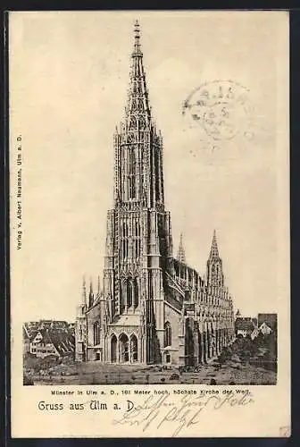 AK Ulm a. D., Münster, 161 Meter hoch