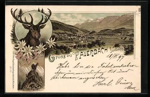 Lithographie Payerbach, Gesamtansicht mit Südbahn-Viadukt, Porträt eines Hirschen, Gemse