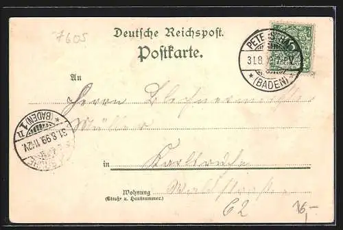 Lithographie Bad Petersthal /Badischer Schwarzwald, Sophien-Quelle und Ortspartie aus der Vogelschau