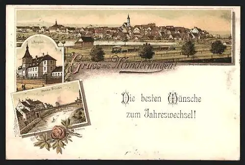 Lithographie Munderkingen, Hospital, Donau-Brücke, Gesamtansicht