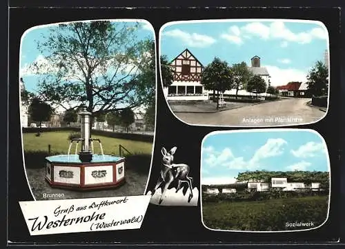 AK Westernohe /Westerwald, Sozialwerk, Brunnen, Anlagen mit Pfarrkirche