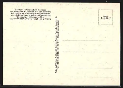 AK Hontheim bei Bad Bertrich, Gasthaud-Pension Emil Hommes, Hontheimer Mühle, Entersburg und Wald-Partie