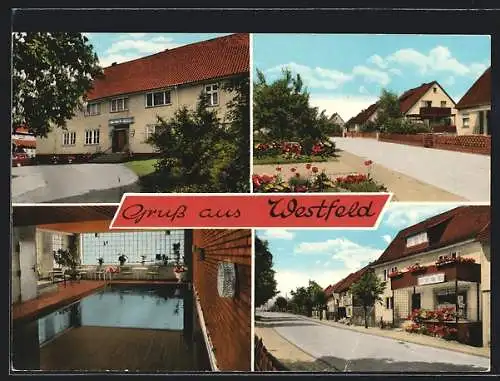 AK Westfeld / Leine, Gasthaus, Strassenpartie mit Rewe-Geschäft, Wohnhäuser, Schwimmbecken