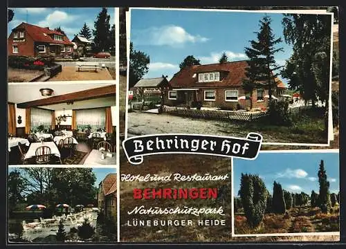 AK Behringen / Lüneburger Heide, Hotel-Restaurant Behringer Hof, Lüneburger Heide