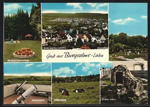 AK Burgsolms, Kneipp-Tretbecken, Panoramaansicht, Kleingolfplatz, Sternwarte
