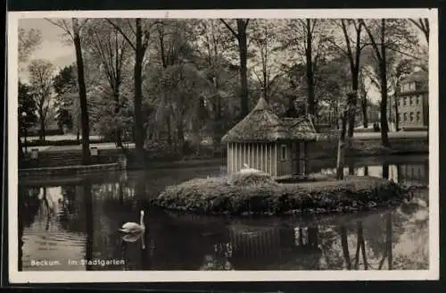 AK Beckum / Westf., Stadtgarten-Partie mit Inselchen