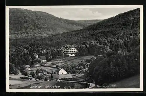 AK Berlebeck /Teutoburger Wald, Johannaberg, bewaldete Höhen