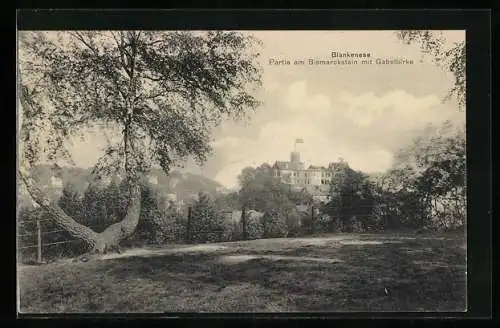 AK Hamburg-Blankenese, Partie am Bismarckstein mit Gabelbirke