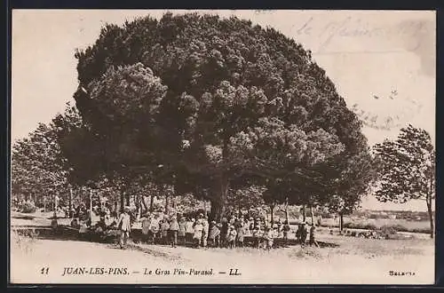 AK Juan-les-Pins, Le Gros Pin-Parasol