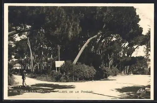 AK Juan-les-Pins, Allées de la Pinède