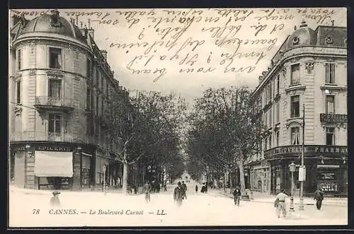 AK Cannes, Le Boulevard Carnot