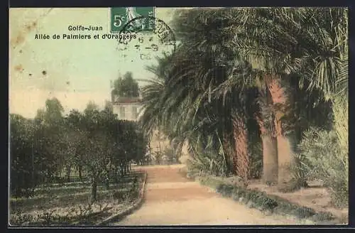 AK Golfe-Juan, Allée de Palmiers et d`Orangers