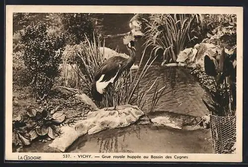 AK Vichy, Grue royale huppée au Bassin des Cygnes