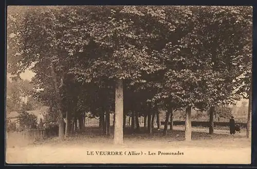 AK Veurdre /Allier, Les Promenades