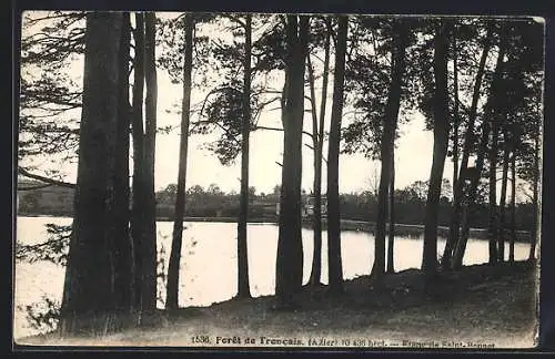 AK Saint-Bonnet, Forêt de Troncais