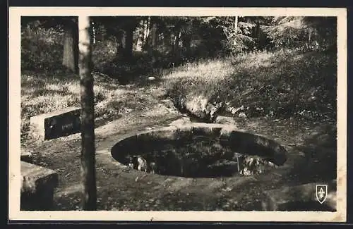 AK Foret de Troncais, Fontaine de Viljot