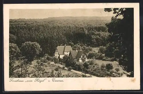 AK Idstein, Forsthaus vom Hügel