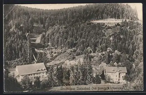 AK Steinabad bei Bonndorf, Panorama