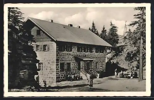 AK Dreisessel /Bay. Wald, Gasthaus Dreisessel-Haus