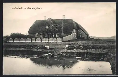 AK Wenningstedt, Friesenhaus mit Umgebung