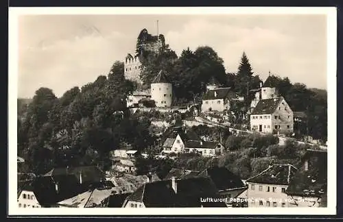 AK Pappenheim, Burg von Osten