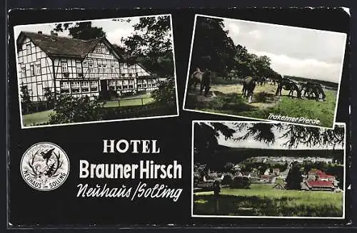 AK Neuhaus /Solling, Hotel Brauner Hirsch, Ortsansicht, Trakehner Pferde