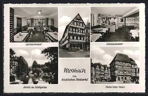 AK Mosbach /Baden, Gasthof zum Schwanen M. Simon, Palmsches Haus, Stadtgarten