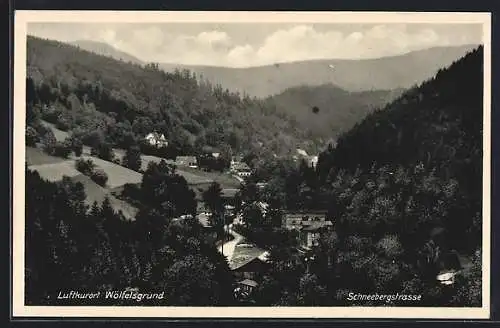 AK Wölfelsgrund, Schneebergstrasse aus der Vogelschau