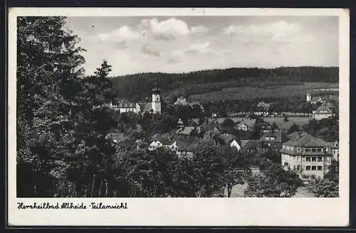 AK Bad Altheide, Teilansicht aus der Vogelschau