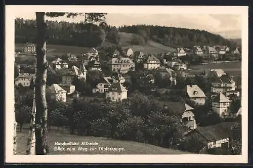 AK Bad Altheide, Blick vom Weg zur Töpferkoppe