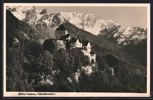 AK Vaduz, Schloss mit Bergpanorama