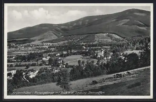 AK Krummhübel /Riesengebirge, Ortsansicht mit Siedlung Steinseiffen