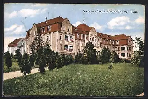 AK Greiffenberg i. Schles., Das Sanatorium Birkenhof