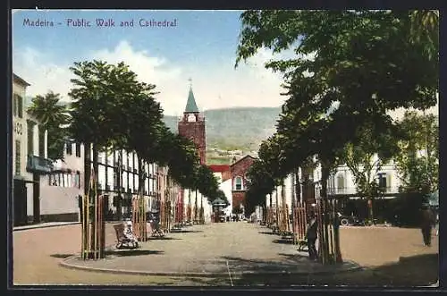 AK Madeira, Public Wald and Cathedral