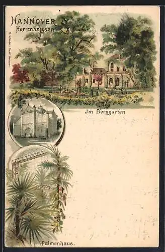 Lithographie Hannover-Herrenhausen, Partie im Berggarten, Palmenhaus