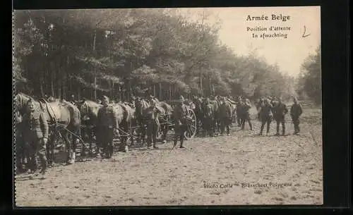 AK Armée Belge, Position d`attente