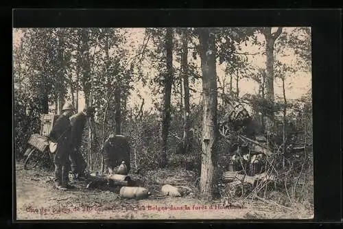 AK Une des pièces de 210 capturées par lase Belges dans la foret d`Houthulst