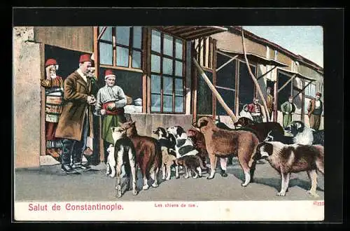AK Constantinople, Les chiens de rue, Türken mit Hunden