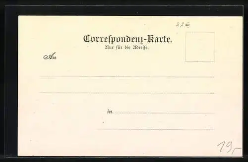 AK Wien, Strassenpartie in der Alleegasse