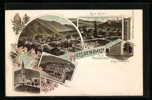 Lithographie Weissenbach a.d. Triesting, Fuggers Fremdenheim, Triestingheim, Herz-Jesu-Kirche, Ruine Neuhaus