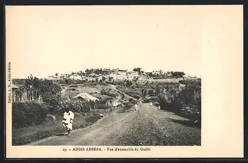 AK Addis-Abbeba, Vue d`ensemble du Guébi