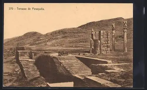 AK Persépolis, Terrasse