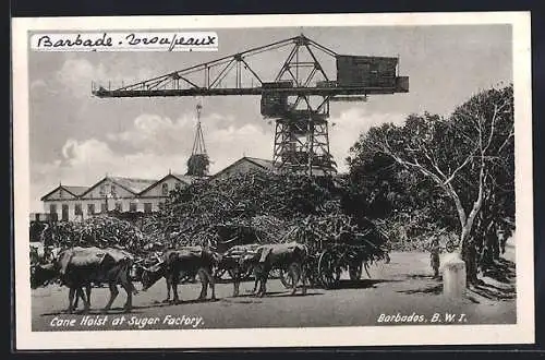 AK Barbados, Cane Hoist at Sugar Factory