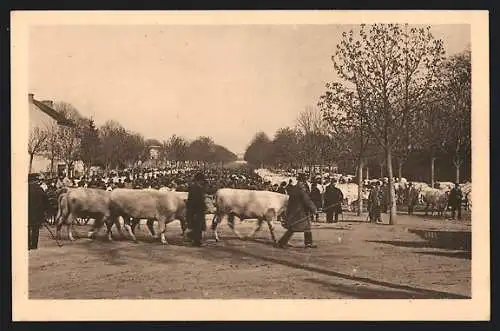 AK Moulins, Cours de Bercy un jour de foire