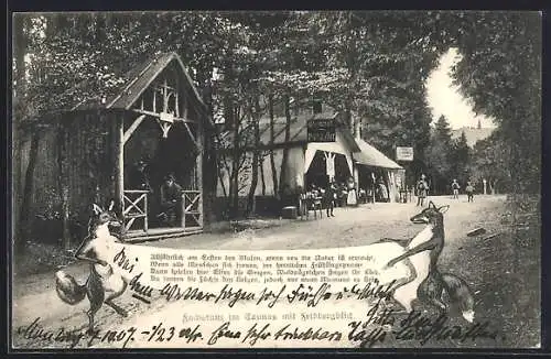 AK Feldberg / Taunus, Fuchstanz am Gasthaus Matth. Müller