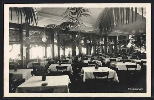 AK Meersburg, Hotel Wilder Mann, Palmensaal