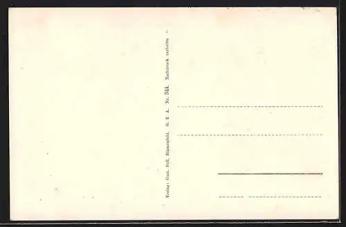 AK Blumenfeld / Baden, Ortsansicht mit Erholungsheim, Ortsansichten von Engen und Tengen