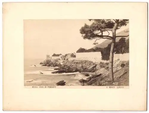 Fotografie A. Noack, Genova, Ansicht Nervi, Riva di Ponente