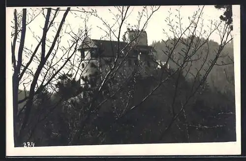 AK Gösting, Blick auf die Ruine