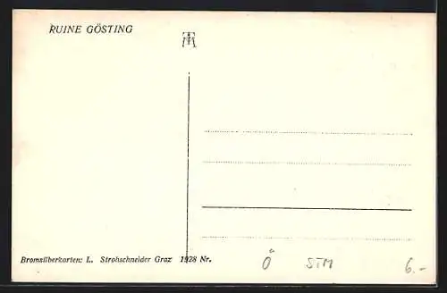 AK Gösting, Blick auf die Ruine